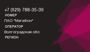 9297883539